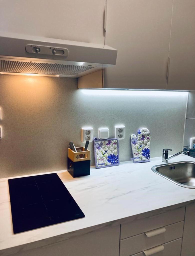 Apartmany, Penzion, Wellness U Zlate Rybky Vyskov Bagian luar foto