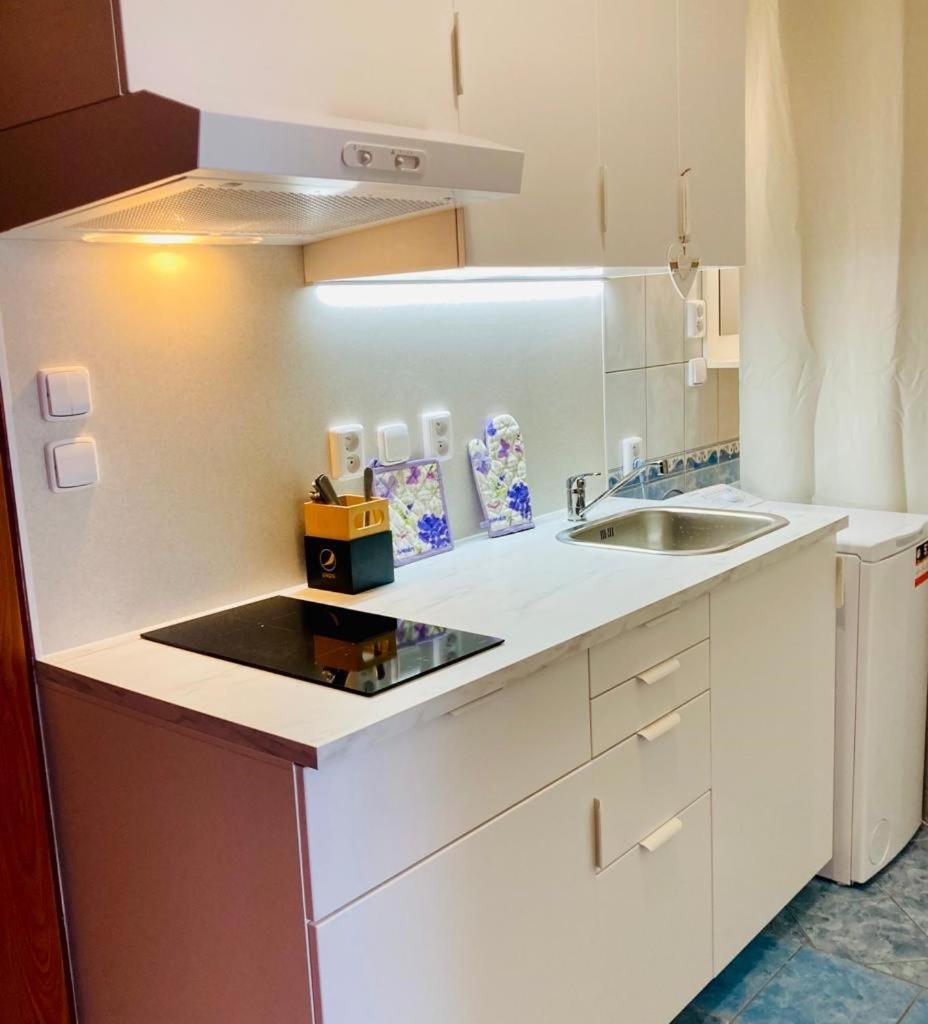 Apartmany, Penzion, Wellness U Zlate Rybky Vyskov Bagian luar foto