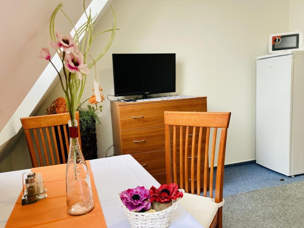 Apartmany, Penzion, Wellness U Zlate Rybky Vyskov Bagian luar foto