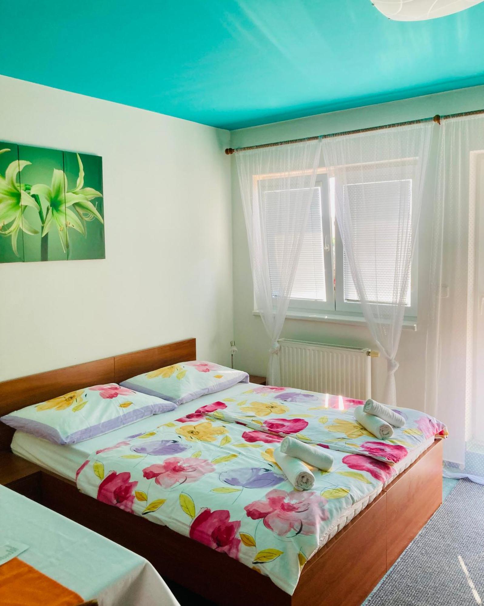 Apartmany, Penzion, Wellness U Zlate Rybky Vyskov Bagian luar foto