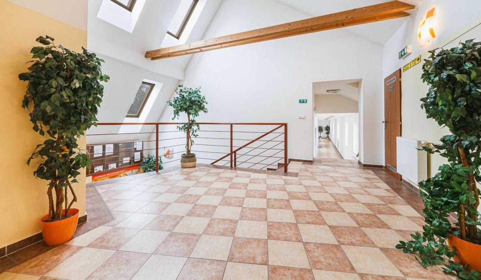 Apartmany, Penzion, Wellness U Zlate Rybky Vyskov Bagian luar foto